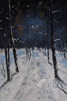 Зимняя аллея, освещенная фонарями (Winter alley lit by lanterns)