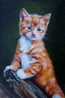 Рыжий котёнок