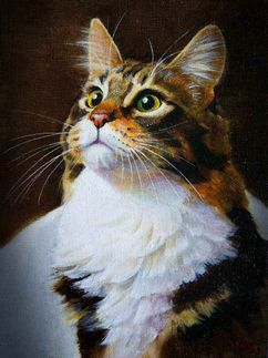 Серая кошка