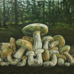 Грибы из леса возле хутора Вихляевский.