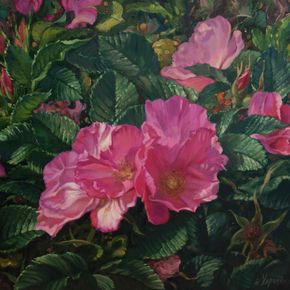 Розовый куст