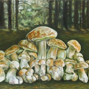 Белые грибы из леса возле хутора Вихляевский.