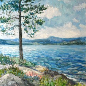 Сосна на берегу озера