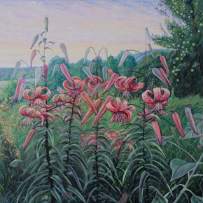 Лилии Саранки