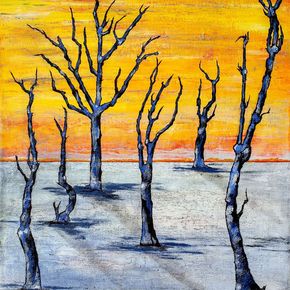 "Пустыня Намиб"