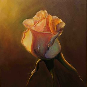 Прикосновение света