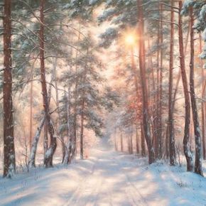 Зимой в лесу