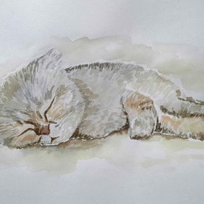 Спящий шотландец