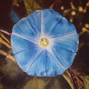 Золотое сечение