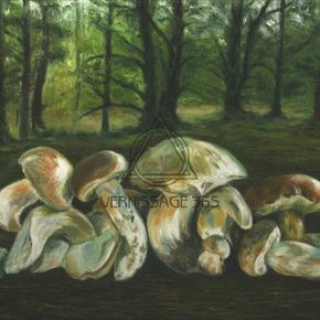 Белые грибы возле хутора Вихляевский.