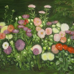 Цветы  возле дома.