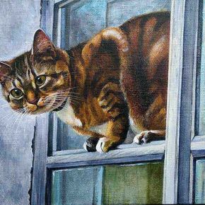 Кошка на форточке