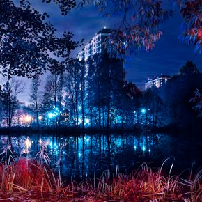 Цвет города