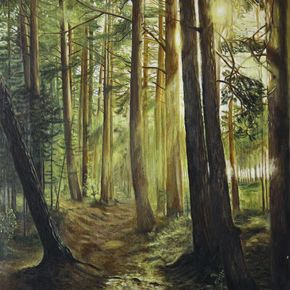 Лес возле Балтийского моря, лагеря Нооурос.