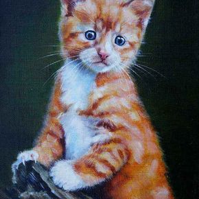 Рыжий котёнок