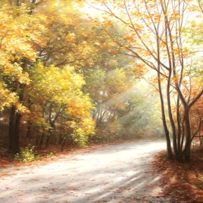 Осенняя пора