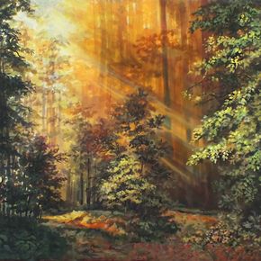 Лес и солнце