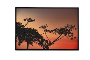 Силуэт заката