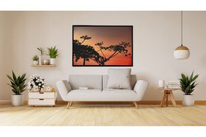 Силуэт заката