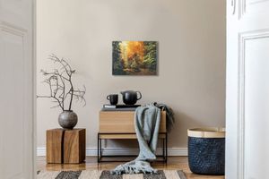 Лес и солнце