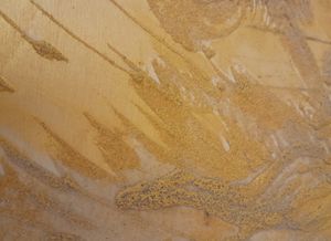 Лев богатства