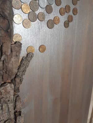 Денежное дерево