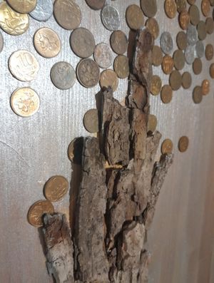 Денежное дерево