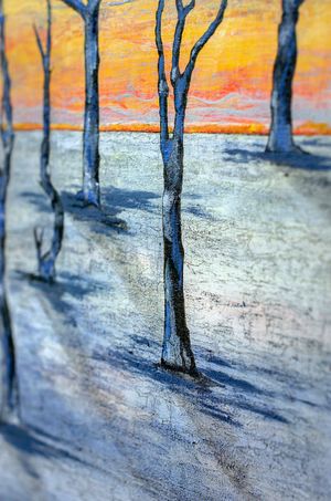 "Пустыня Намиб"