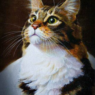 Серая кошка