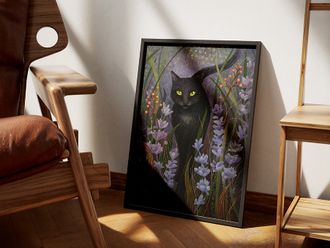 Кошка Софа и ее тайна.