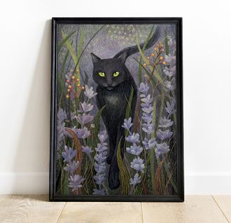 Кошка Софа и ее тайна.