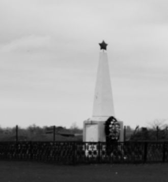 Гуси