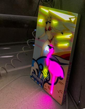 Miami flo