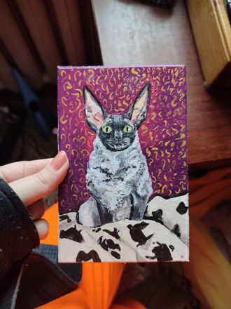 Кот мем