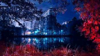 Цвет города