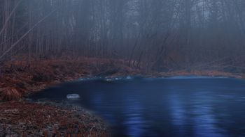 Туманное озеро