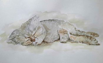 Спящий шотландец