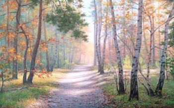 Дорога в лесу