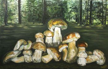 Картина Белые грибы из леса возле хутора Вихляевский