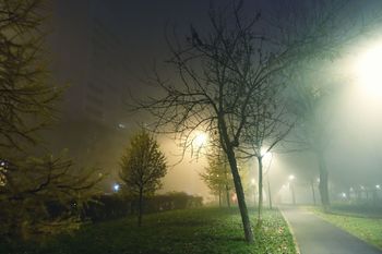 Цвет настроения - Осень (15)