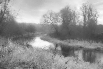 Stillness speaks 1