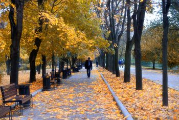Цвет настроения - Осень (16}