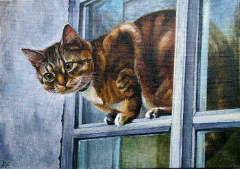 Кошка на форточке