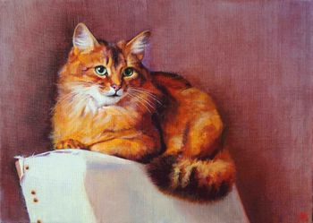 Кошка на спинке кресла