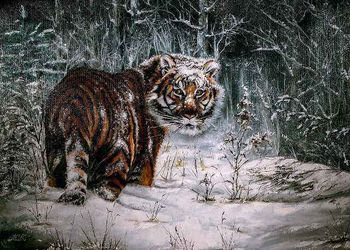 Амурский красавец