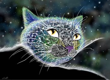 Космический кот