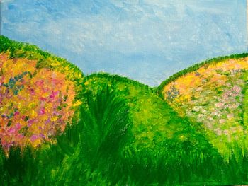 Летние краски