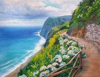 Цветущая гортензия на Азорских островах