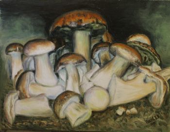 Белые грибы из леса возле хутора Вихляевский.