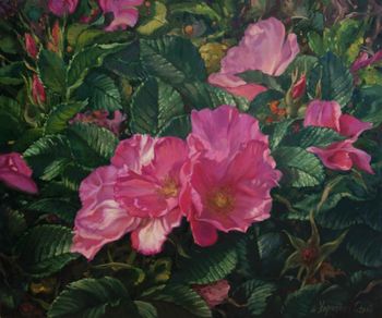 Розовый куст